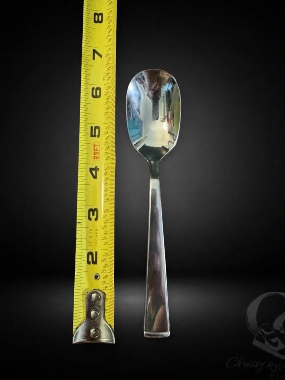 Oneida Stainless Place Spoon Glossy Flatware Replacement